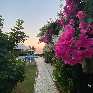 Konukevi Suna House, Söğüt